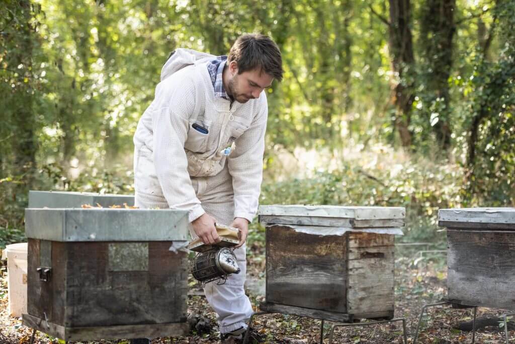 apiculteur-au-milieu-de-ses-ruches