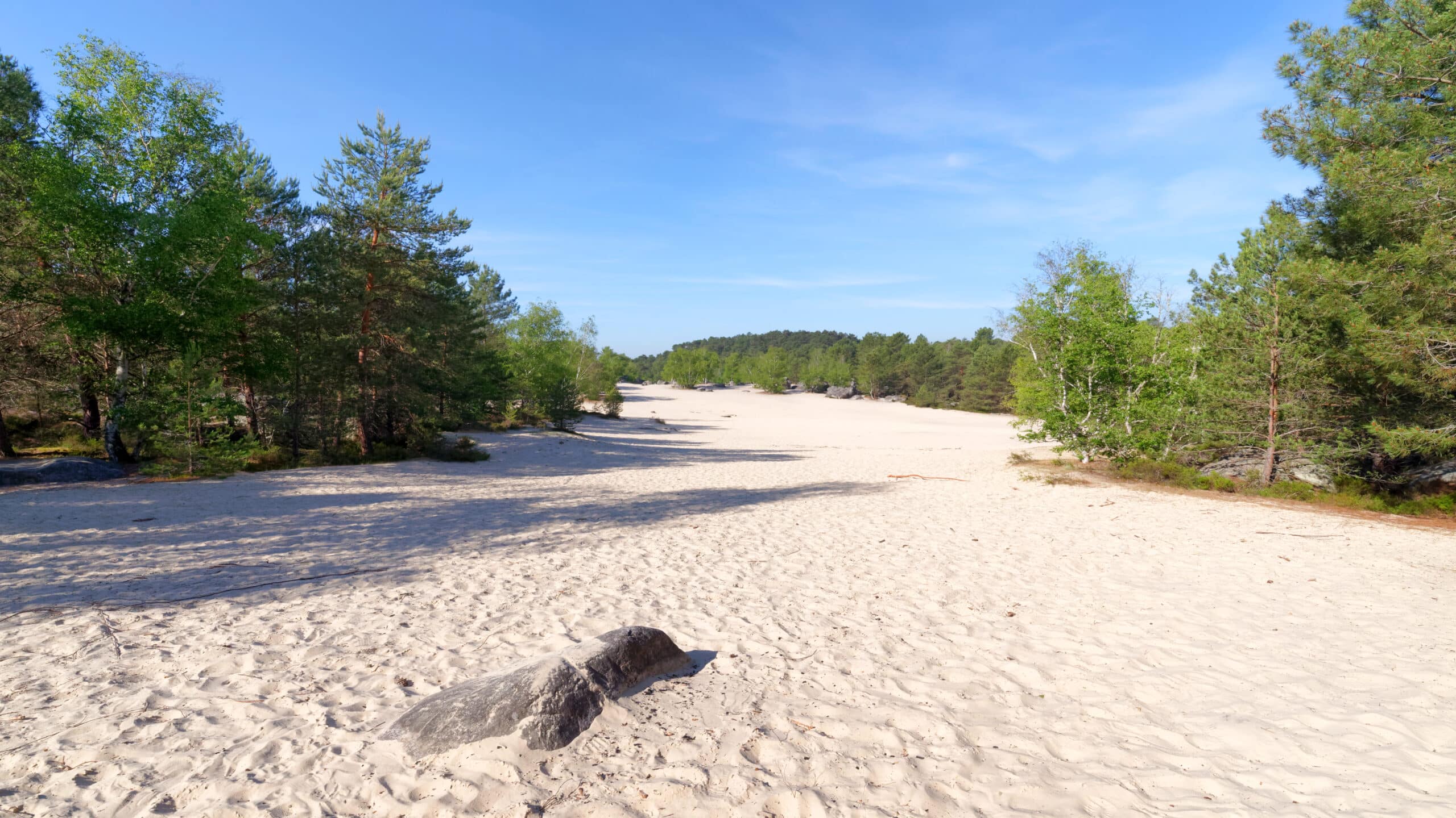 Mer de sable Fontainebleau ©AdobeStock scaled