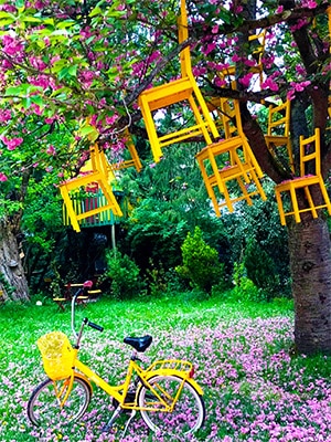 jardin remarquable moulin jaune chaise crecy la chapelle seine et marne 77