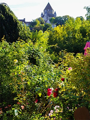 jardin remarquable roseraie provins 2 seine et marne 77 1