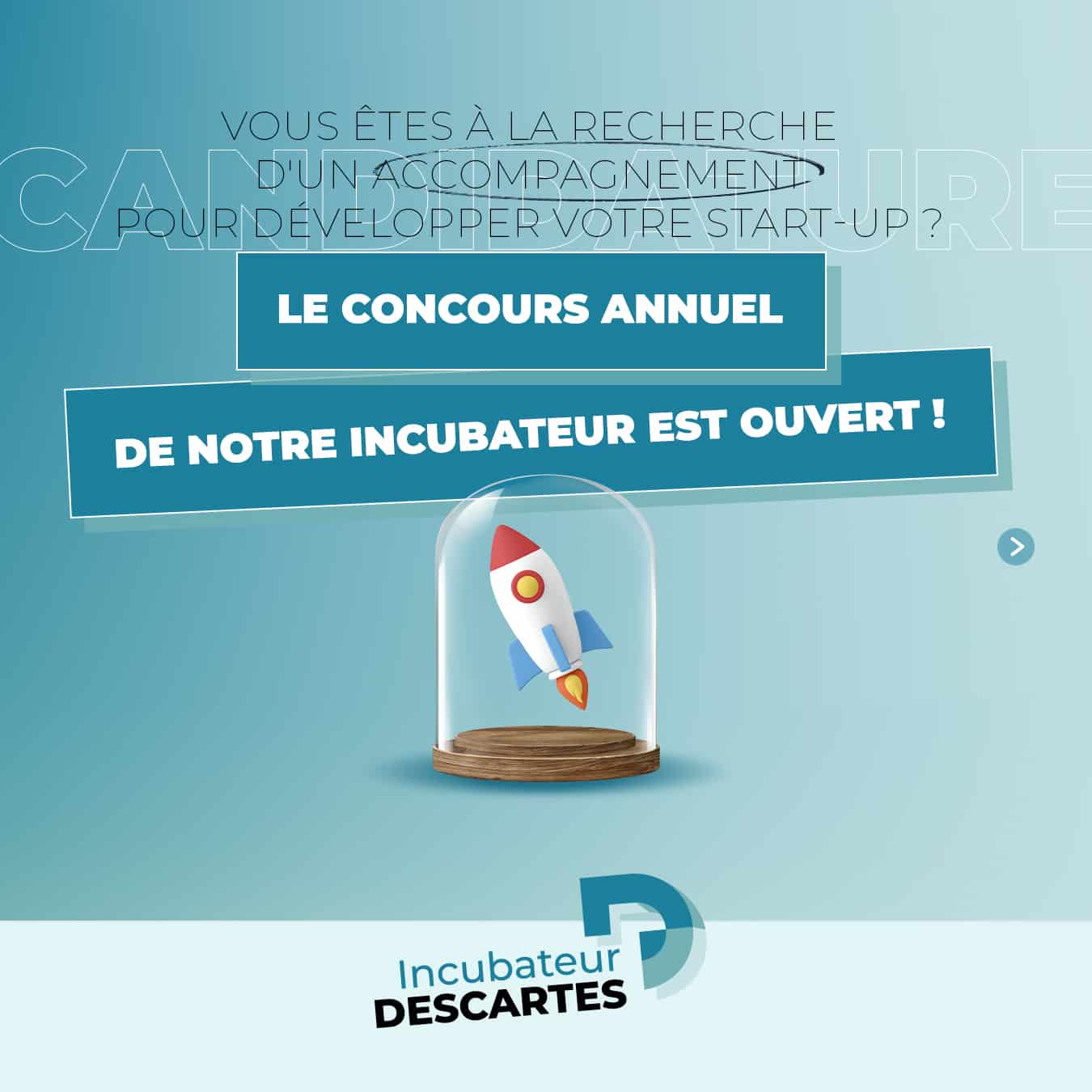 ddi CANDIDATURE1 concours